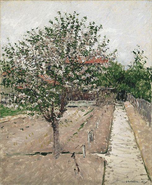 Gustave Caillebotte Apple Tree in Bloom Sweden oil painting art